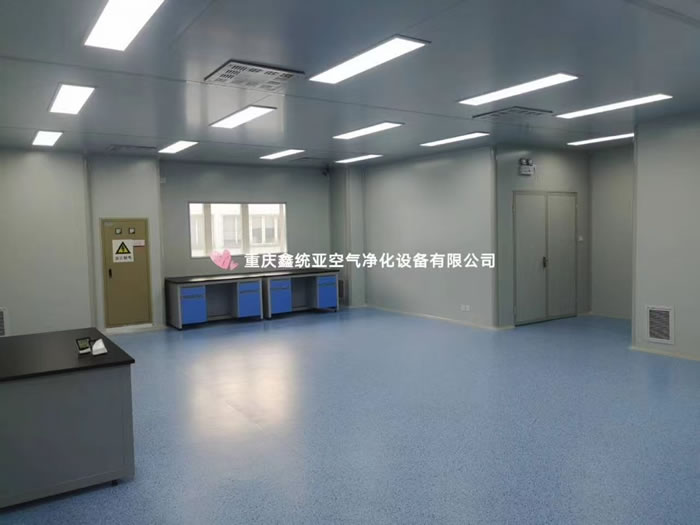 重慶材料研究院有(yǒu)限公司萬級淨化(huà)車(chē)間(jiān)